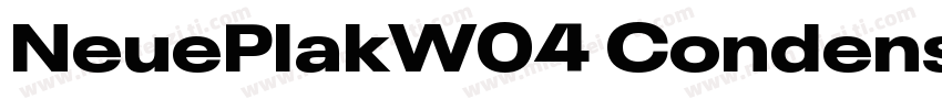 NeuePlakW04 CondensedXBlack字体转换